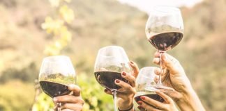 Try these South African wines (iStock/PA)