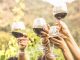 Try these South African wines (iStock/PA)