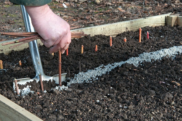 how to prepare your garden for winter