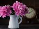 how to plant peonies