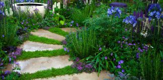 Garden path repointing guide