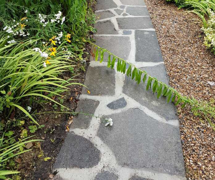 Garden path repointing guide - mix up your mortar