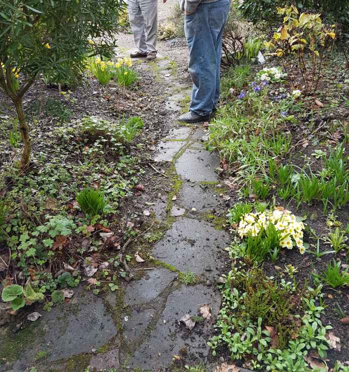 Garden path repointing guide - rake out