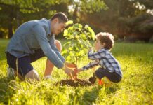 Benefits of planting trees