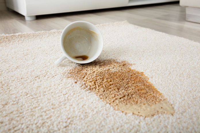 how to best clean carpet