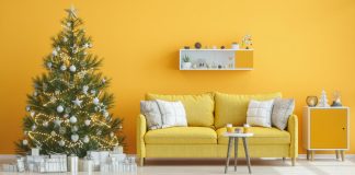 What is the best Christmas tree to buy guide