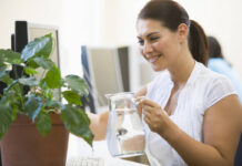 Houseplants for home office boost productivity