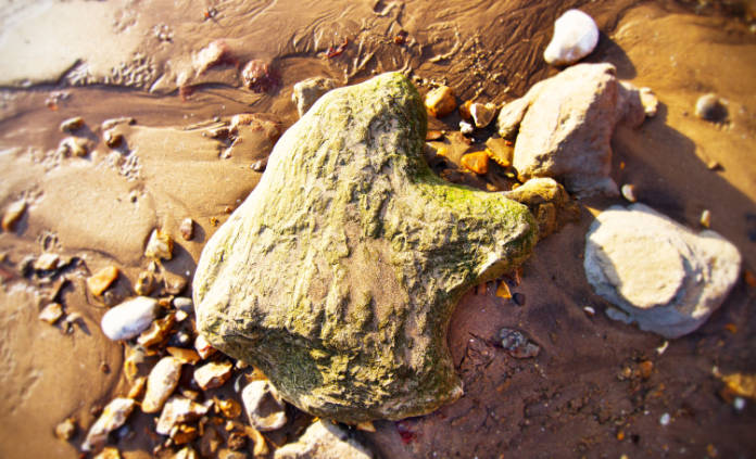 Dino footprint at Brook Beach, Isle of Wight