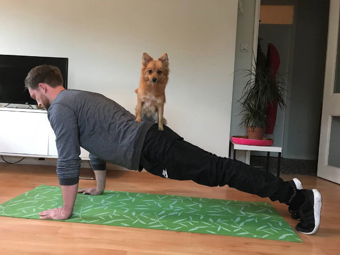 Exercising with your dog doing a plank