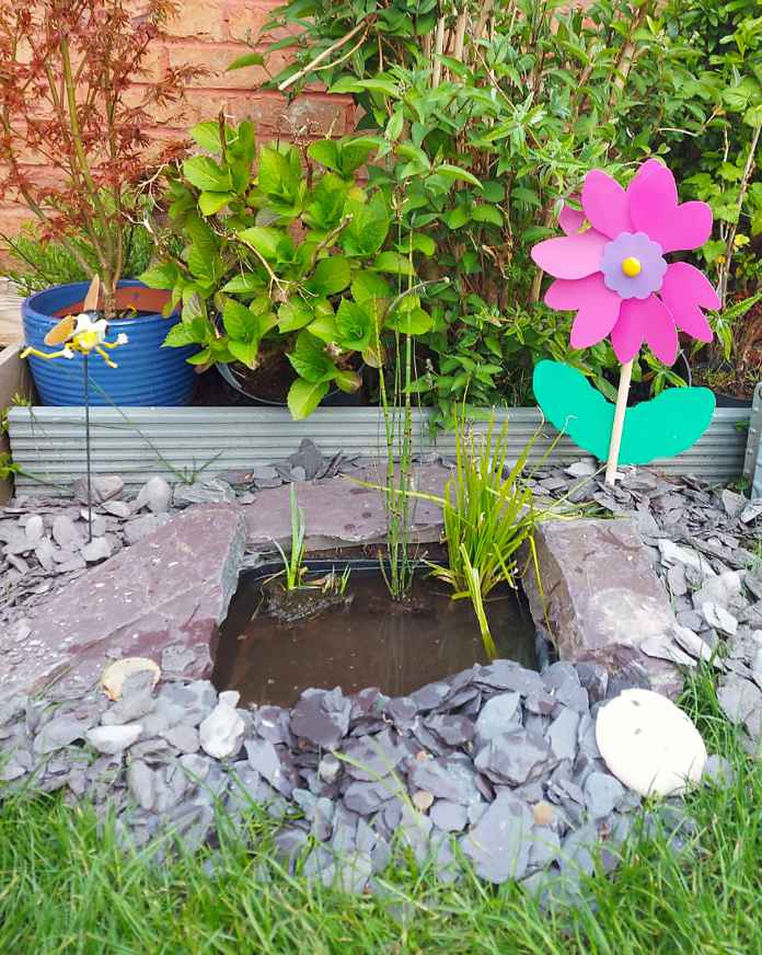 A perfect mini pond in the garden