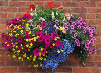 How to make hanging baskets