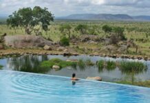 Infinity pool holidays A swim with a view: Four Seasons Safari Lodge Serengeti