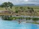 Infinity pool holidays A swim with a view: Four Seasons Safari Lodge Serengeti