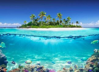 Tropical Island with coral reef