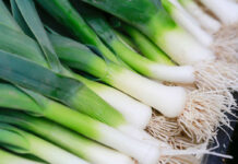 A collection of leeks grown locally