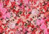 An image of a wall covered of pink and vibrant flowers