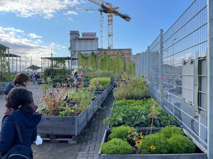 The Gemüsewerft urban gardening project located in Bremen 