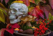 Halloween plants- 10 poisonous plants