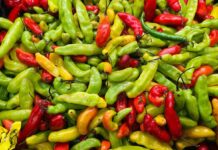 Spicy food Red and green chilli peppers