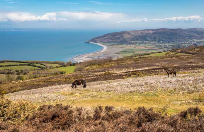 A view across Porlock Common, with Porlock Bay in the distance, Exmoor National Park, England.