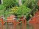 A flooded garden (Alamy/PA)