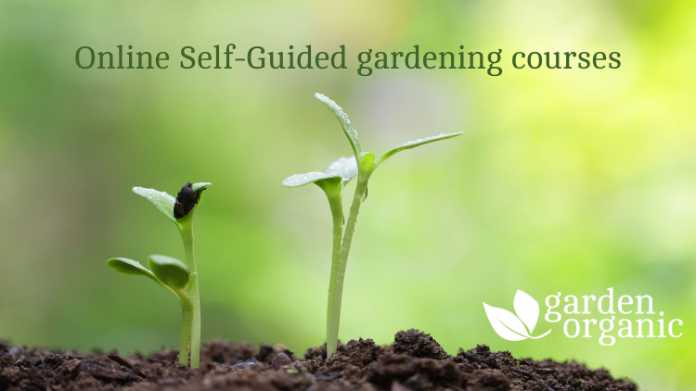 Online gardening course