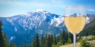 Glass of white wine with view of snow-capped mountains