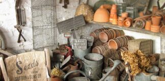 Declutter the contents of your garden shed