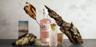 Low alcohol drinks New London Light Non Alcoholic Spirit, Midnight Sun, Wild Nordic Coastal Berries, Pine and Kelp, Salcombe Gin