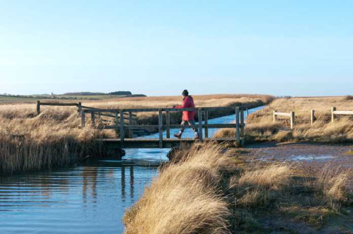 Salthouse Marshes near Cley on the North Norfolk coast