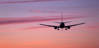 A flight at sunset