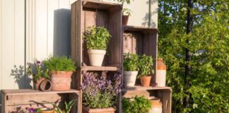 Vertical spaces for growing