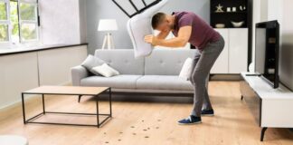 Bugs on living room floor