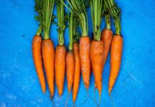 A bunch of carrots with long green tails
