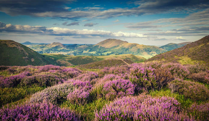 Shropshire hills Upland Heathland Landscape