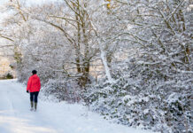 Winter walk – A woman walks along a snow covered road through a snowy, wintry