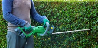 Best cordless hedge trimmers to buy